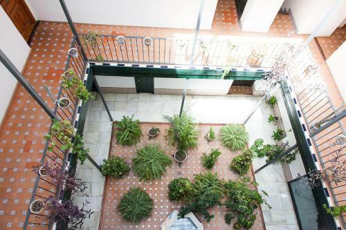 Apartamento Gotoseville Sierpes Suite