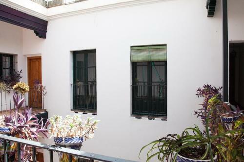 Apartamento Gotoseville Sierpes Suite