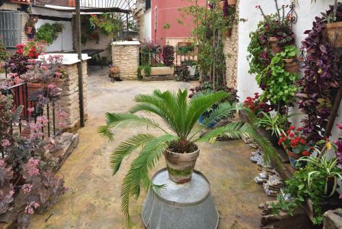 Suite Do�a In�s Barrio Santacruz