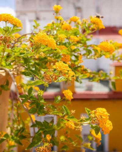 Apartamento Ohliving Cathedral View