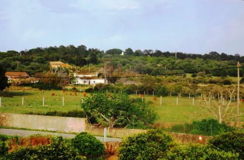 Casas Do Pomar