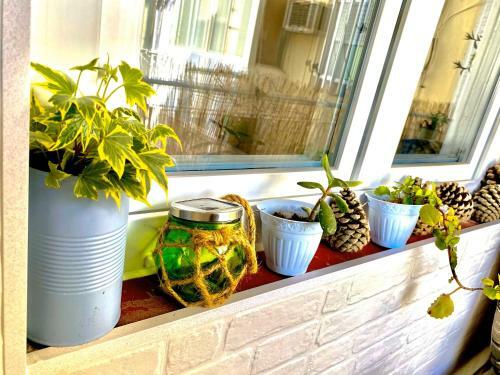 Apartamento Junto Al Casco Antiguo Con Terraza