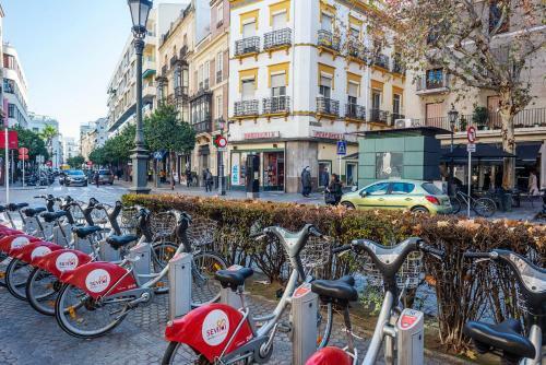Apartamento Alohamundi Mes�n De Caballeros