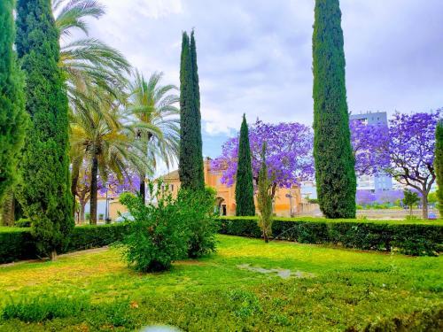 Apartamento Plaza De San Bernardo 4