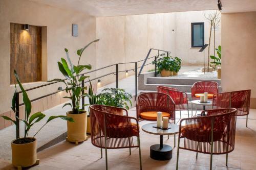 Magno Apartments Castilla