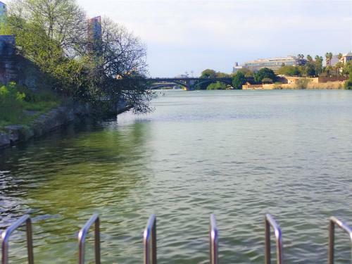 Apartamento Vive Triana