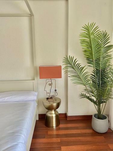 Monkeys Apartments La Campana Suites