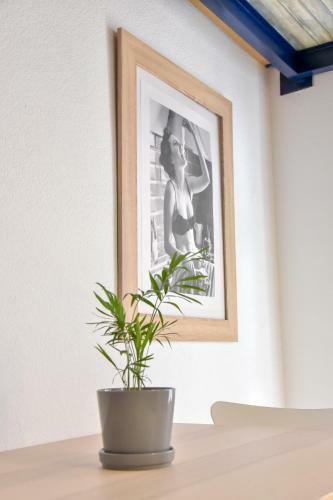 Apartamento Peace, Pool & Parking At Centre