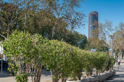 Apartamento Alohamundi Alfaqueque