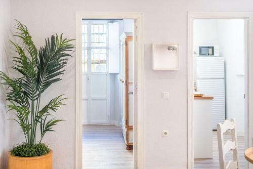 Apartamento Alohamundi Alfaqueque