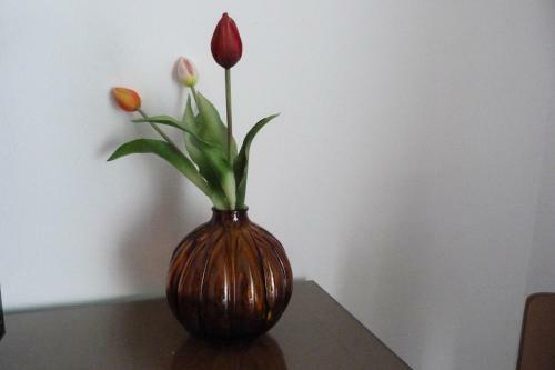 Encantador Y Luminoso Apartamento Centro Hist�rico