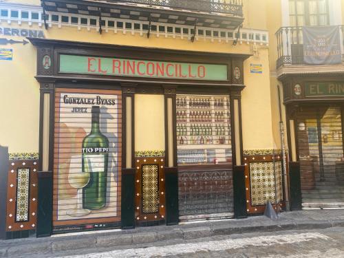 Apartamento Sd Gerona Centro Santa Catalina