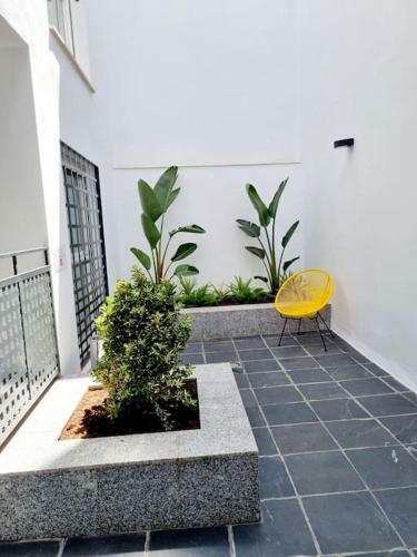 Incre�ble Apartamento Centrico 0a