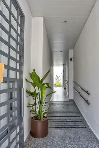 Incre�ble Apartamento Centrico 0a
