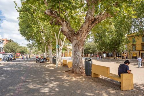 Apartamento Alohamundi H�rcules
