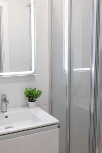 Apartamento En Casco Antiguo