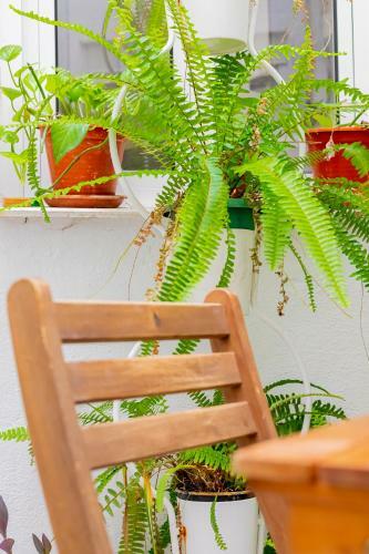 Apartamento Wish Suite Alameda De Sevilla