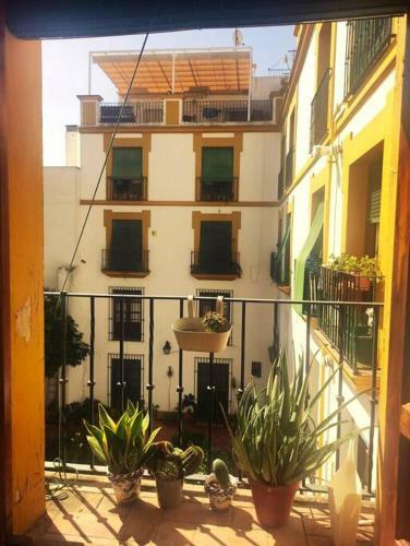 Apartamento Plaza Cristo De Burgos