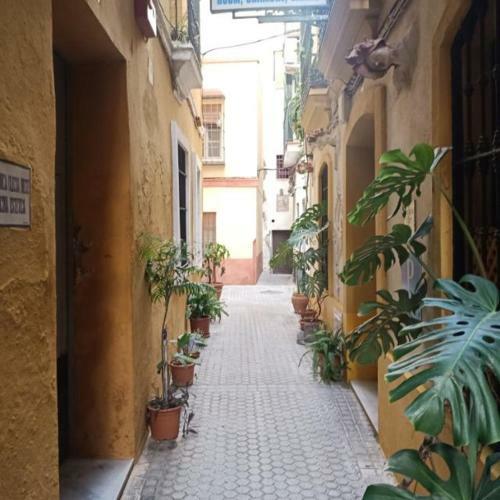 Apartamento Light Of Seville