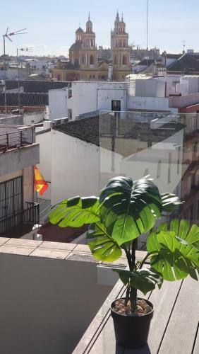 Apartamento Rentalsevilla Cardenal Cervantes