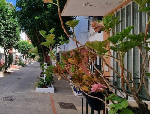 Apartamento Triana