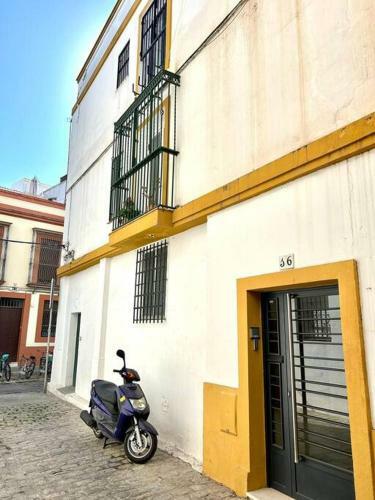 Apartamento Hispalis Rooftop Alameda H�rcules