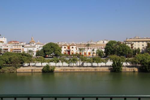 Apartamento Luisahouse. Centro De Triana