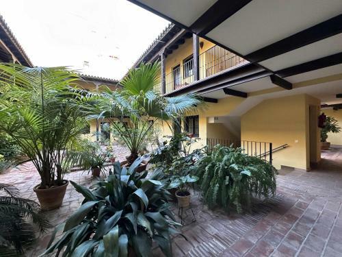 Apartamento Calle Infantes Centro De Sevilla