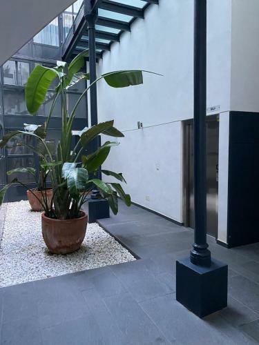 Apartamento Moderno Duplex Sevillano