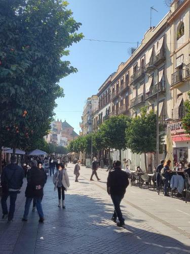 Apartamento Triana Centro
