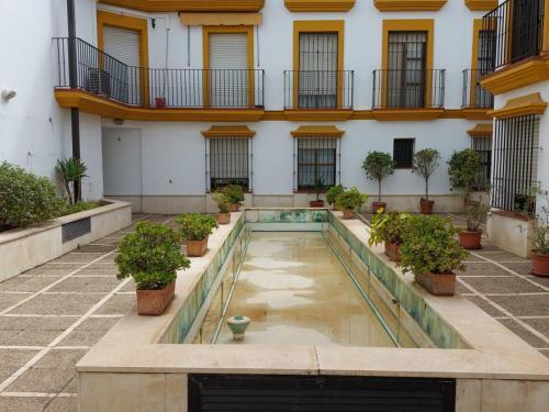 Apartamento Azahar Alfonso XII