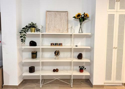 Apartamento Amplio Y Acogedor - Centro - San Luis