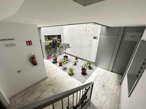 Apartamento Alma De San Bernardo