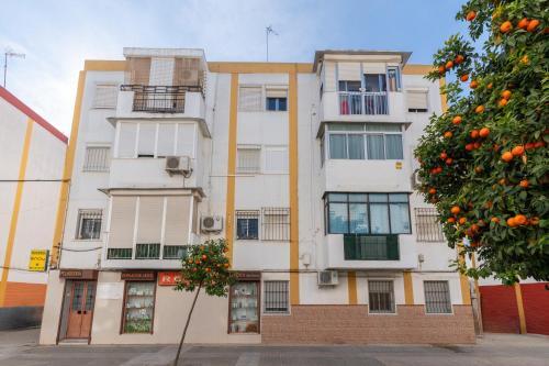 Apartamento 3 Habitaciones Cerca Del Centro
