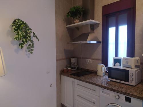 Apartamento Estudio C�ntrico