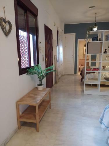 Apartamento Estudio C�ntrico