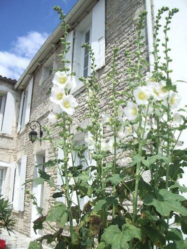 Hotel H�tel Le Square