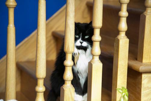 Bed & Breakfast Le Gite A Margot