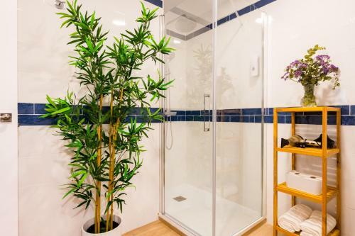 Apartamento Anfitri�n Sevilla 8