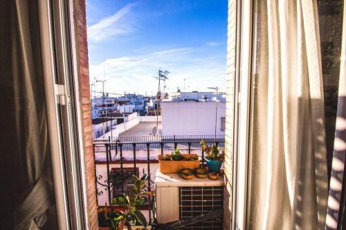 Apartamento Amplio Y Luminoso Piso En La Alameda