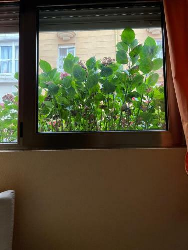 Apartamento En Playa Con Jard�n