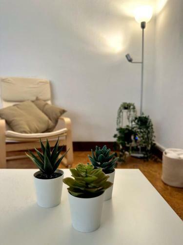 Apartamento Piso Soleado, Pr�ximo Al Centro, 8 Plazas Y F�cil Aparcamiento
