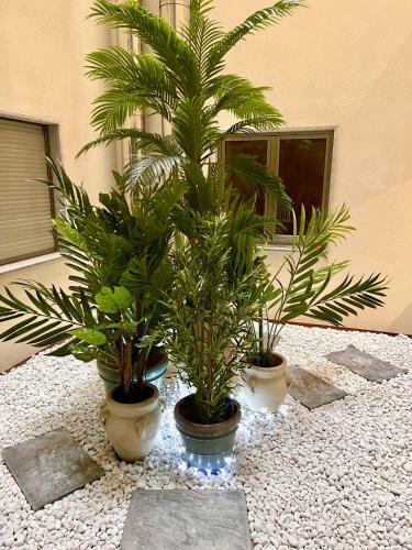 Apartamento The Cliffs - Piccola Home