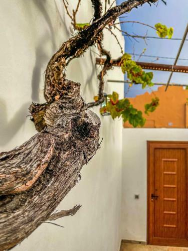 Markethome Casa Jacinto Santiago Del Teide
