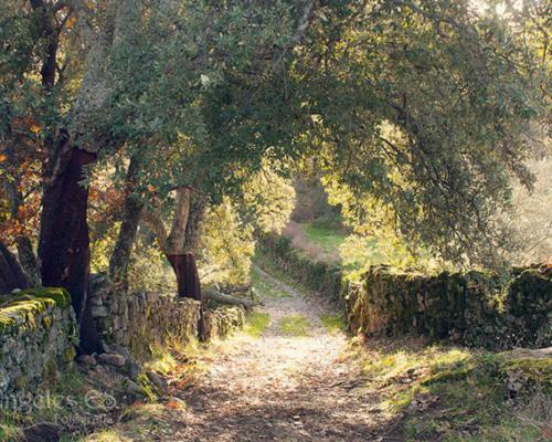Villa Sierra De Gata