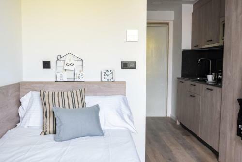 Albergue Micampus Alicante