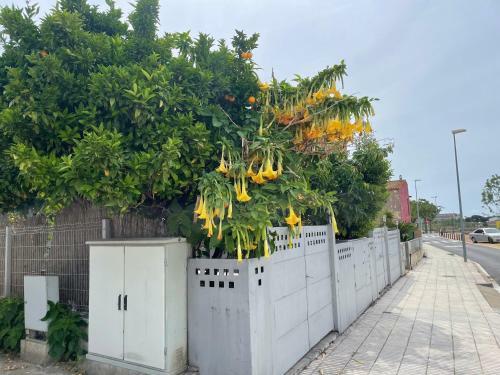 Apartamento Casa Boh�me