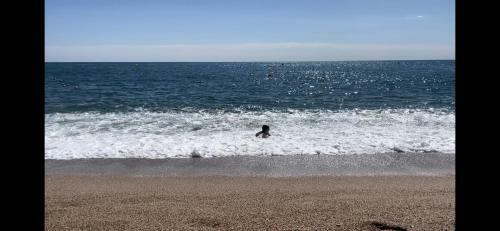 Apartamento Casa Boh�me