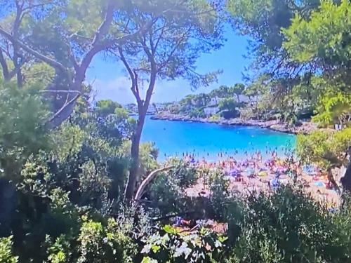 Villa D'hort