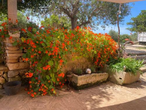Bed & Breakfast Studio Doppelzimmer 2-3 Pers Mit Terrasse - Mit Pool Auf Finca Mallorca